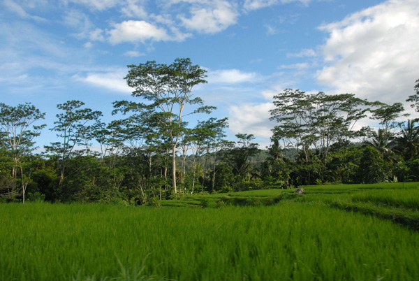 Eastern Bali