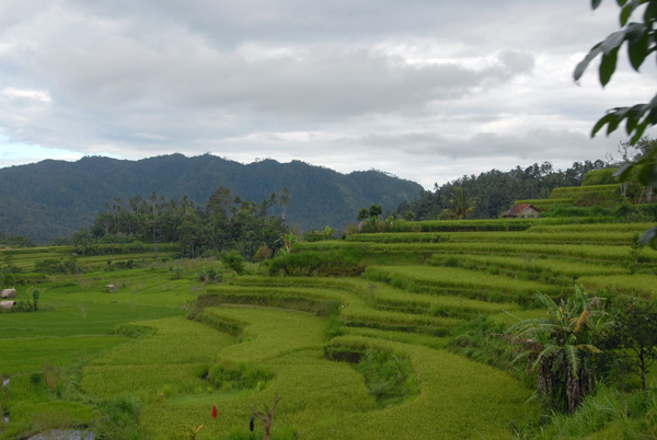 Eastern Bali