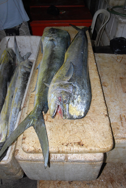 Mahi-mahi, Jimbaren fish market, Bali