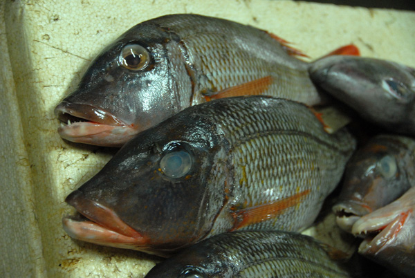 Jimbaren fish market, Bali