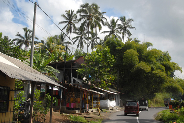 Road leading north from Ubud