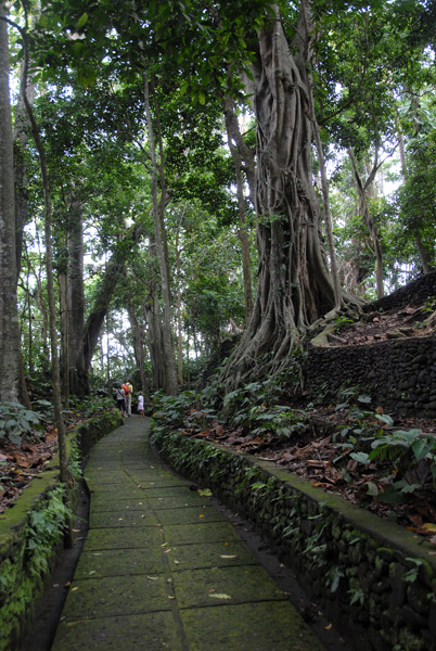 Path through the Sacred Monkey Forest