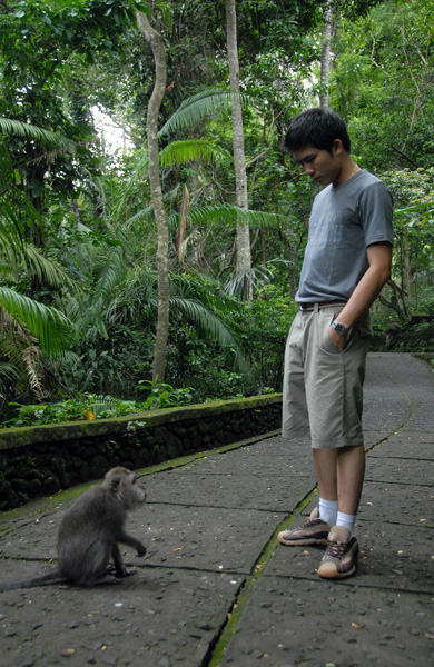 Monkey sizing up Jeng