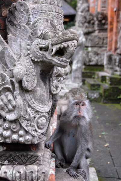 Monkey Forest Temple - Pura Dalem Agung, Ubud