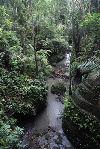 The stream running through monkey forest