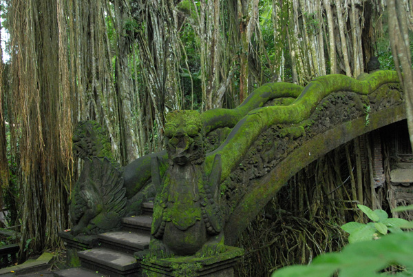 Moss covered bridge and banyan tree, Sacred Monkey Forest, Ubud