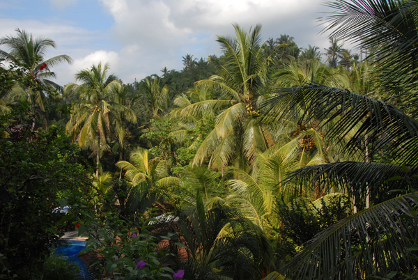 Bali Spirit Hotel, Ubud