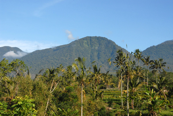GUNUNG ADENG (1826 m) Bali