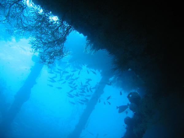 Wreck of the Liberty, Bali