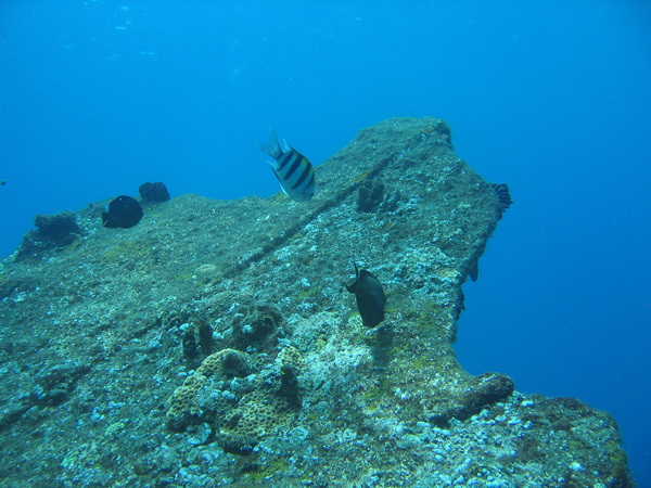 During the 1963 eruption of Gunung Agung, the beached wreck was pushed back into the sea
