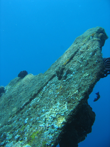 Wreck of the Liberty, Bali