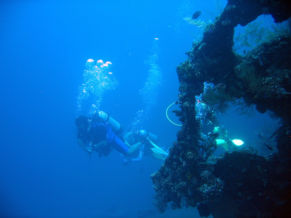 You can dive the Liberty with a local operator or as part of a day trip from south Bali