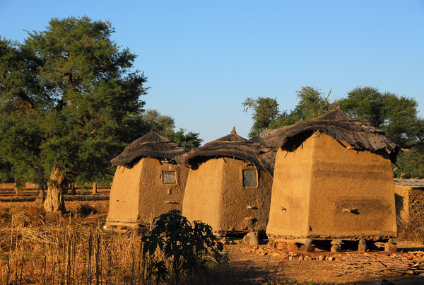 Three thatched granaries, Mali