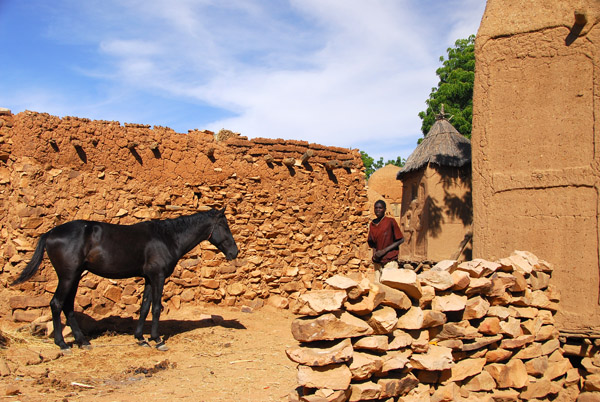 Horse in the Dogon village of Songho