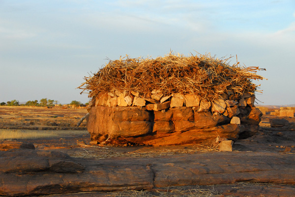 Stone hut with what looks like millet stalks for a roof, Daga