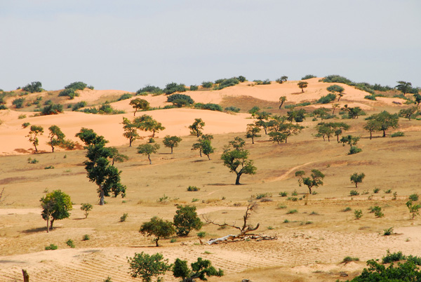 Sand dunes outside the Dogon village of Tereli