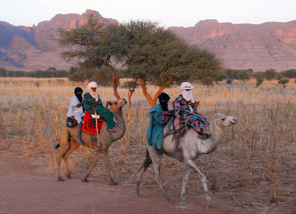Those look like our first real Tuareg mounted on camels