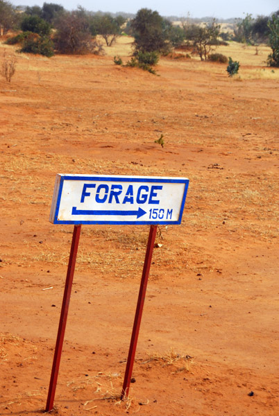 Every 10km or so is a Forage (water well)