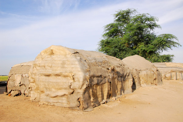 Huts in Korioumé, Mali