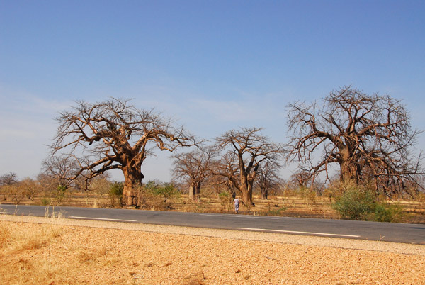 An excellent road connects Kayes, Mali with Kidira, Senegal