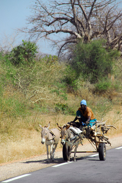 Twin donkey cart, western Mali