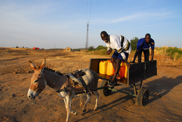 Donkey cart carrying water