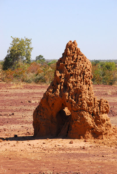 Termite mound, Mali