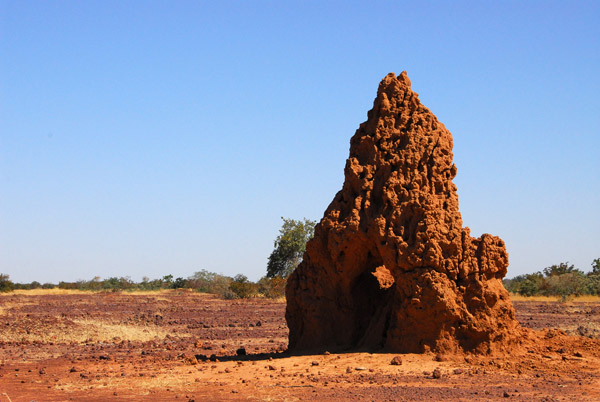 Termite mound, Mali