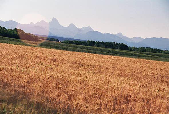 Tetons in the distance, Idaho