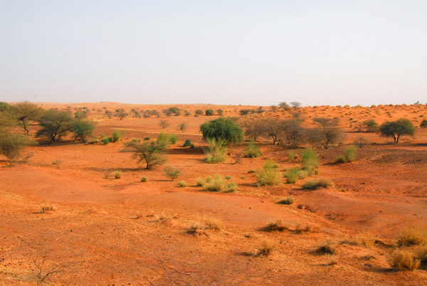 East of Mont Hombori on the way to Gao, the scenery reverts to that more typical of the Sahel, Eastern Mali