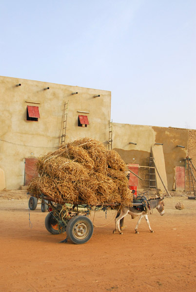 Donkey cart loaded with hay, Gao