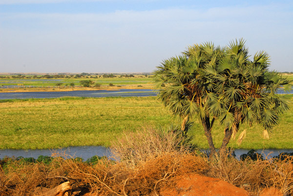 Niger River downstream from Gao