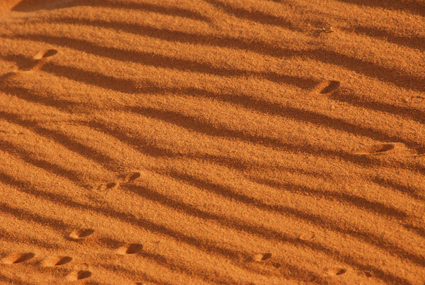 Tracks in the sand, Mali