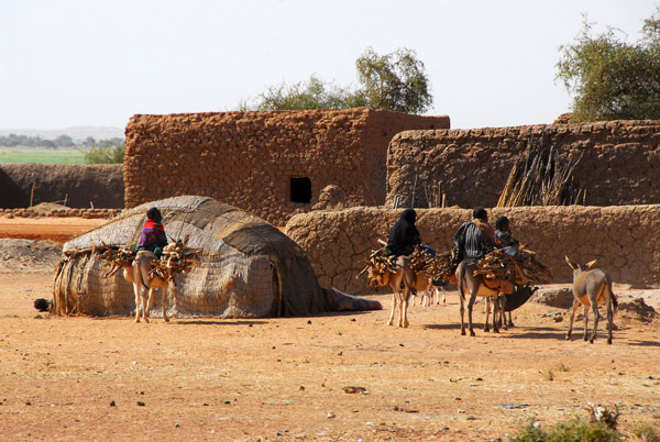Village on the banks of the Niger River, Mali