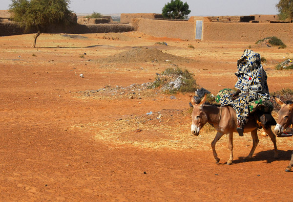 Donkey with rider, Mali