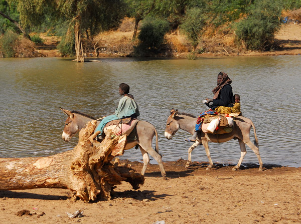 Donkey riders, Ansongo, Mali