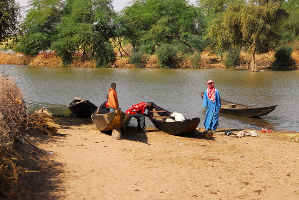 Pirogues pulled up by a side channel of the Niger River