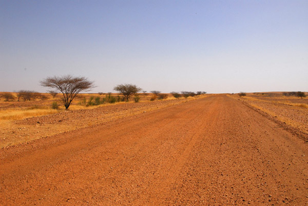 The road from Ansongo to the Niger border at Labbezanga, Mali