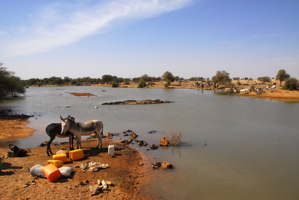 A large waterhole, not far from the Niger border, Mali