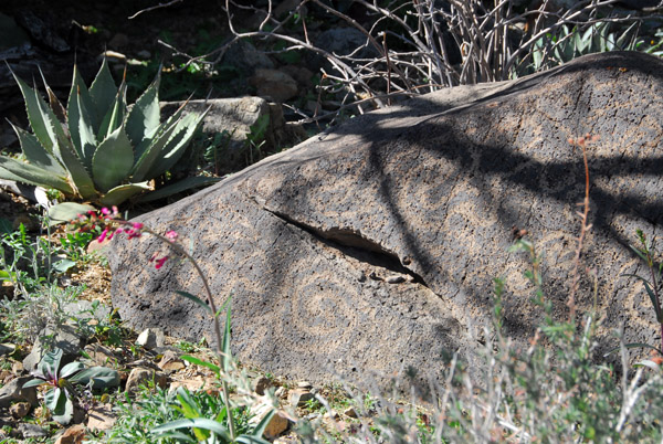 Indian petroglyphs, Arizona-Sonora Desert Museum