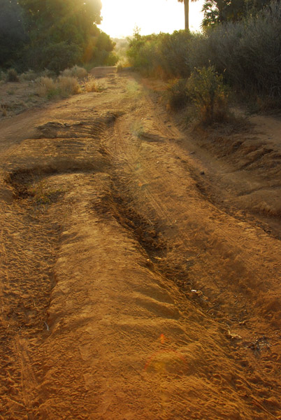 Rutted track that passes for the main road from Western Mali to the heart of the country