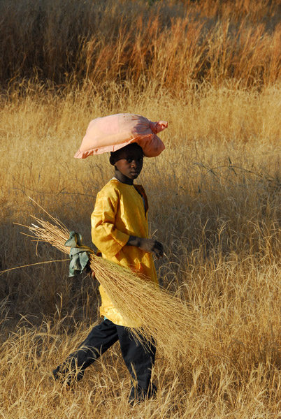 Boy in Mali carrying straw