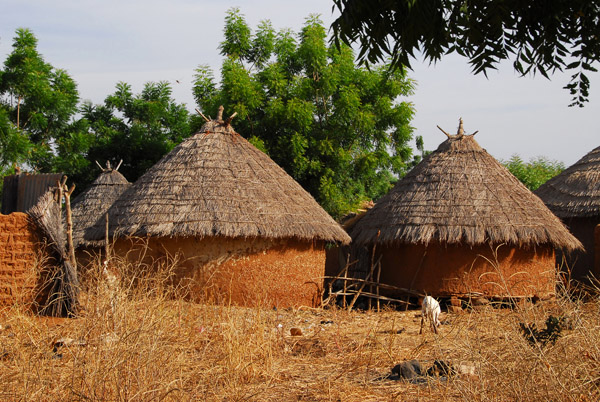 Village of round thatched mud huts, Mali
