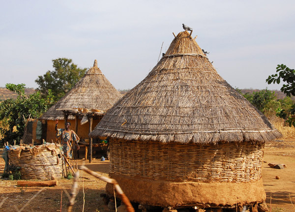 This shows the basket-like frame of a new hut which serves as support for the mud coating