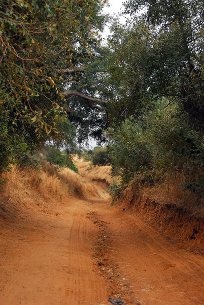 Rough track, Western Mali