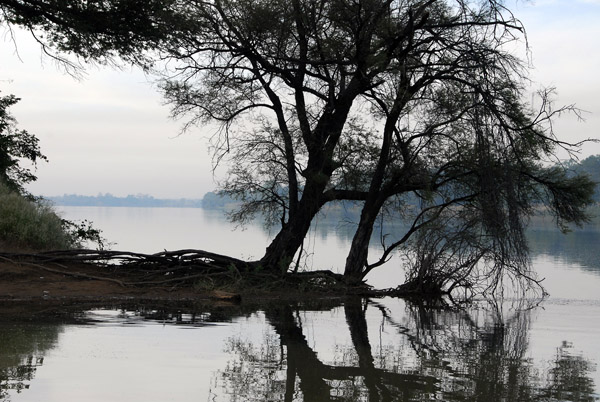 At this point the Bakoy and Bafing Rivers merge to form the Senegal River