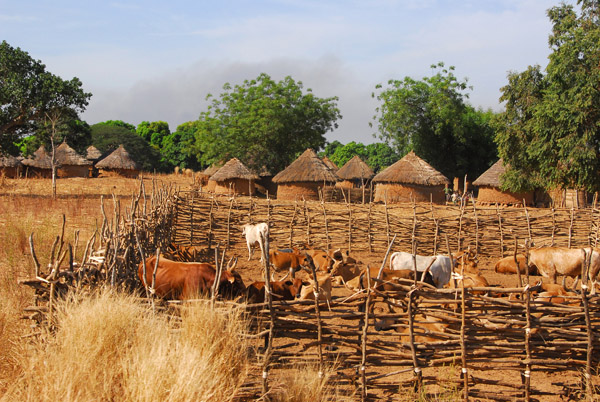 We stopped to visit the interesting village of Dilia, 1 hr 20 min south of the ferry landing