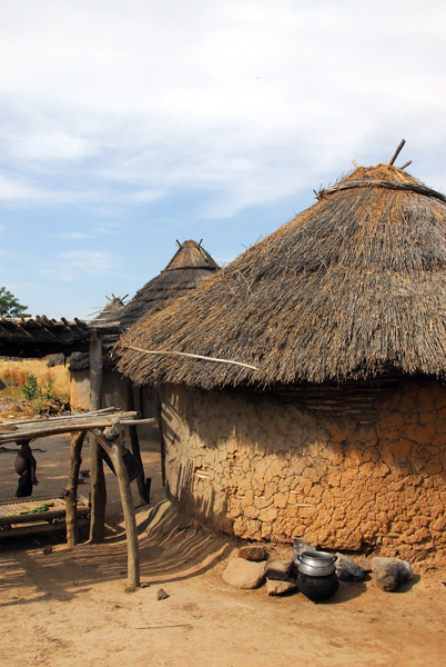 Village of the Palm Tree