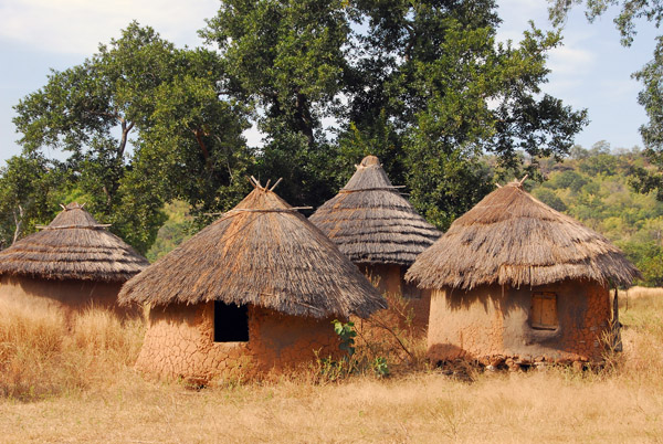 Huts in the Village of the Big Tree