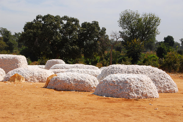 Collection area for the cotton harvest, Mali